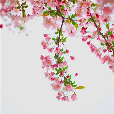 皇冠体育HG2022App