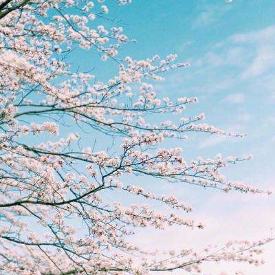 台湾福星彩app下载